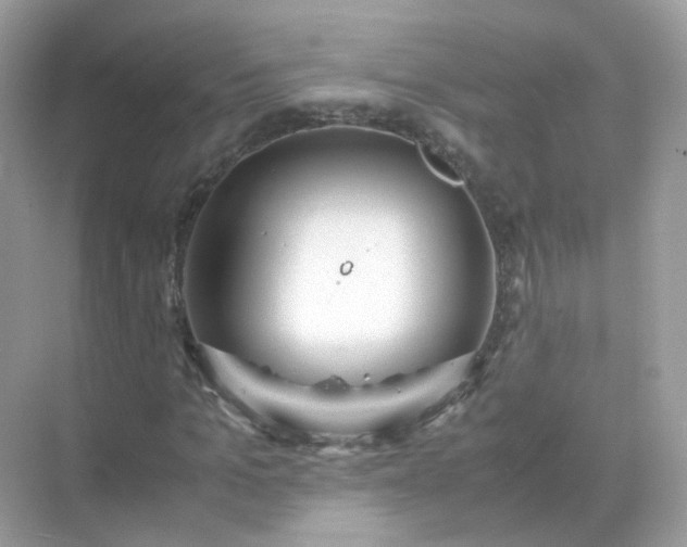 X0000071810965200607072113