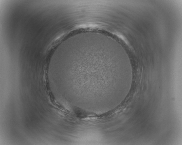 X0000071810967200607072113