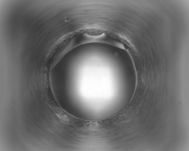 X0000071810968200607072113