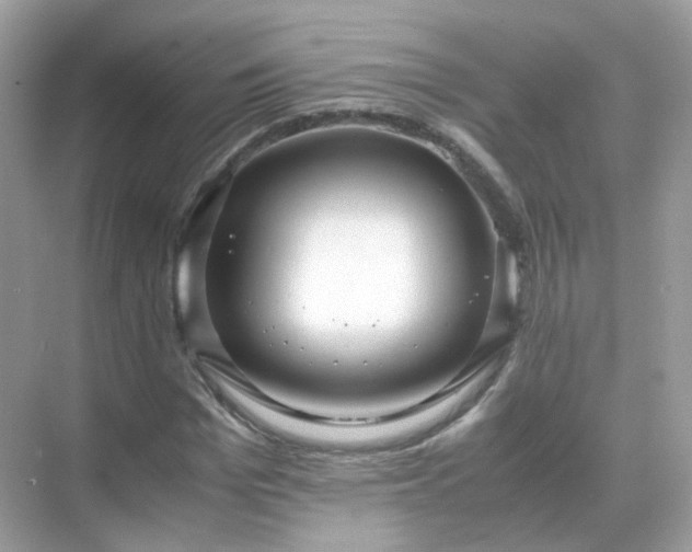 X0000071810969200607072113