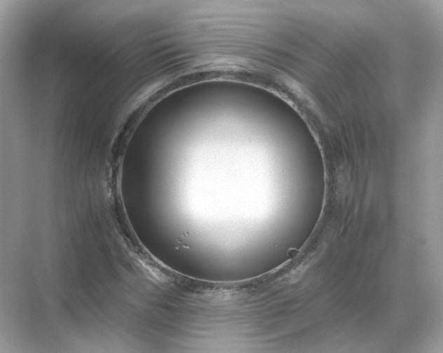 X0000071810970200607072113