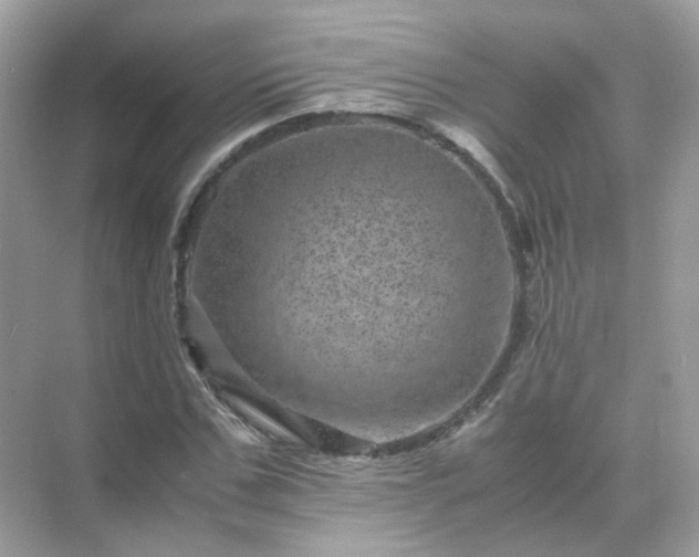 X0000071810971200607072113