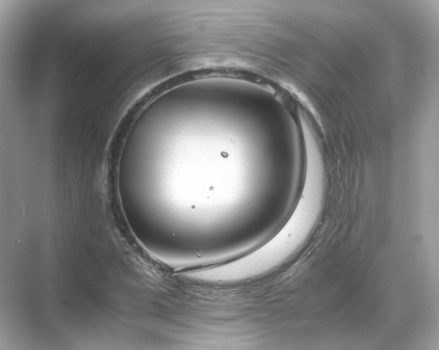 X0000071810975200607072113