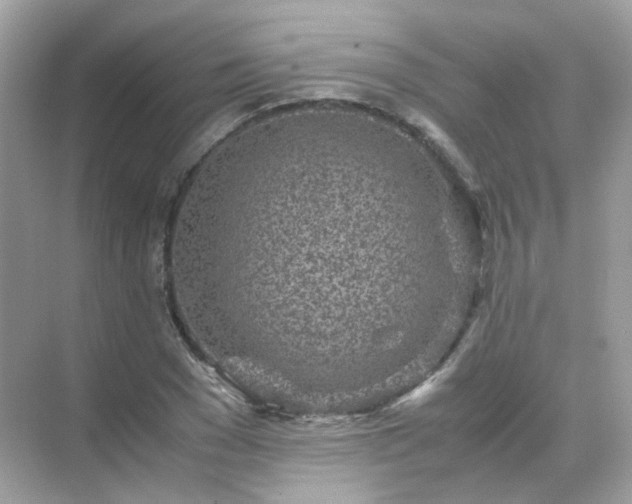 X0000071810977200607072113