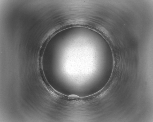 X0000071810978200607072113