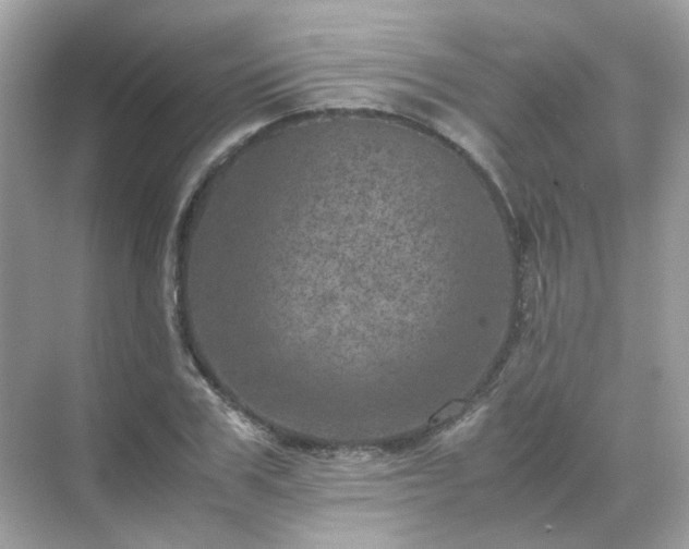 X0000071810979200607072113