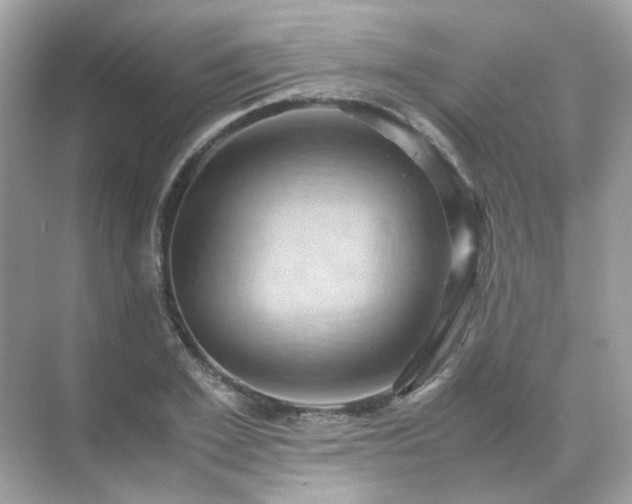 X0000071810981200607072113