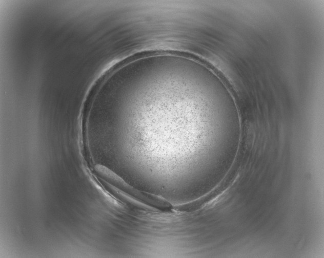 X0000071810982200607072113