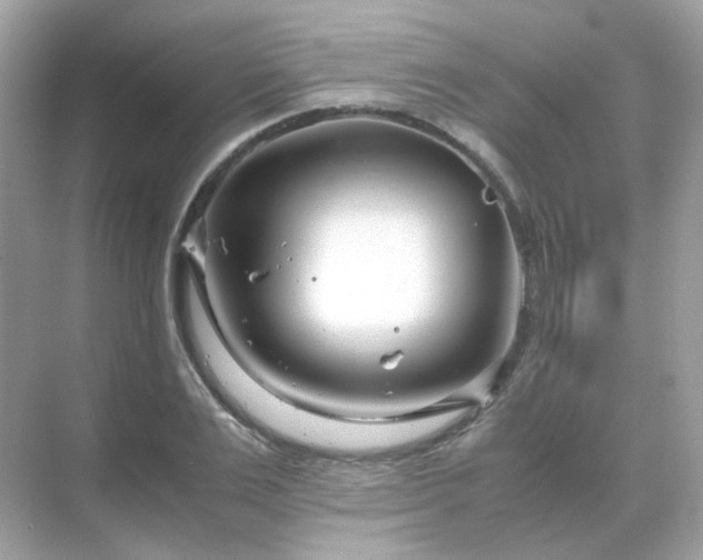 X0000071810983200607072113