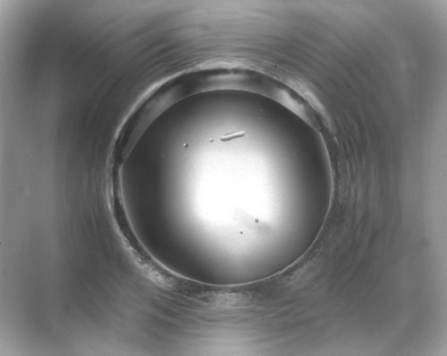 X0000071810984200607072113