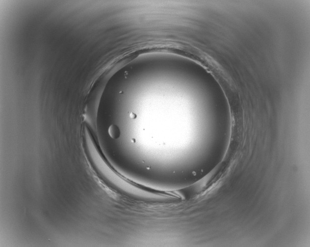 X0000071810985200607072113