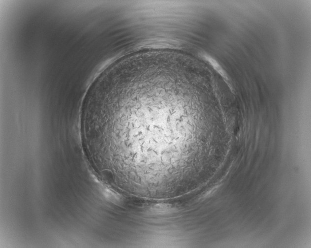 X0000071810986200607072113