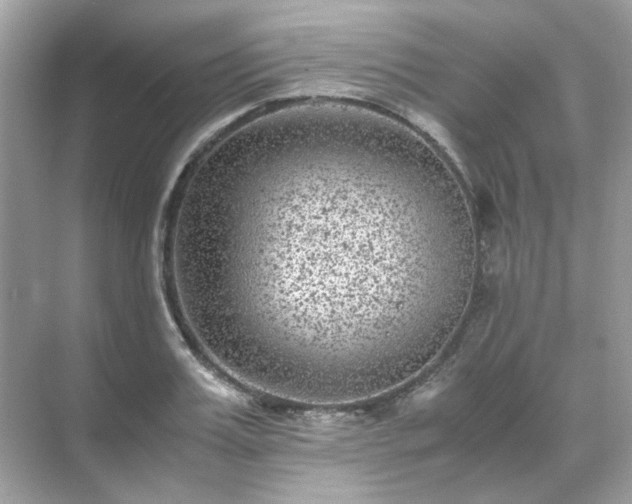 X0000071810987200607072113