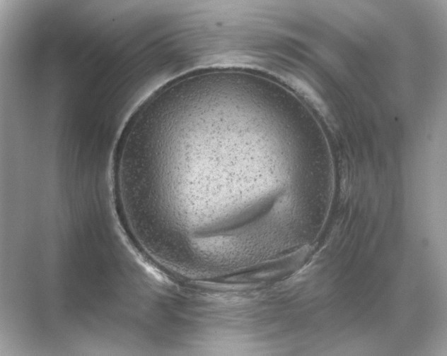 X0000071810990200607072113