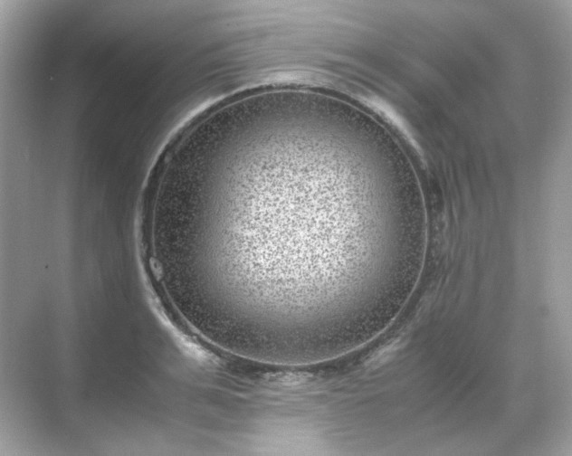 X0000071810991200607072113