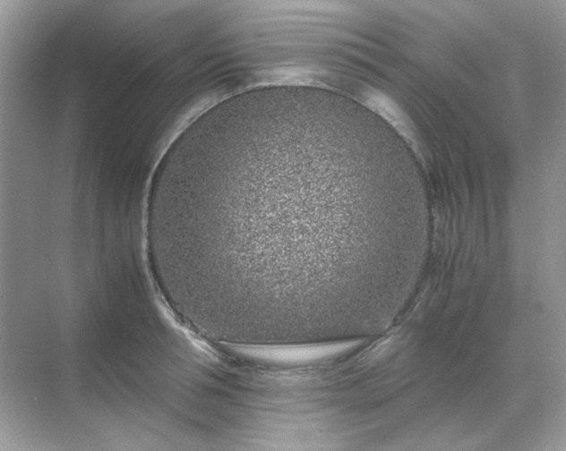 X0000071810994200607072113