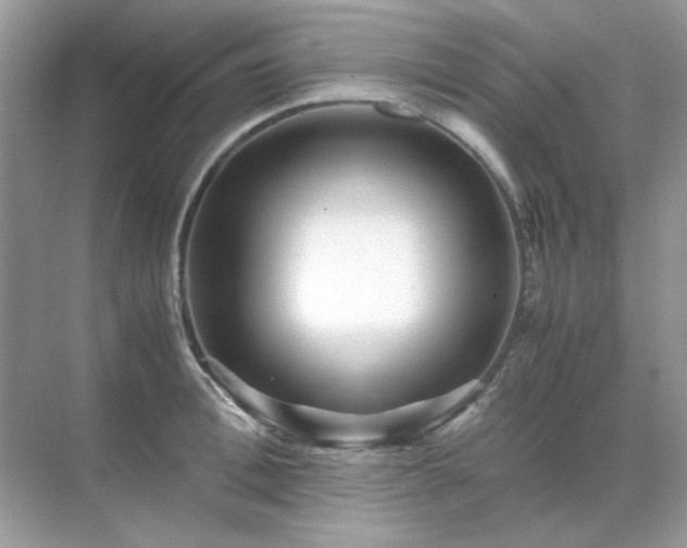 X0000071810996200607072113