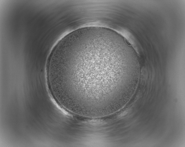 X0000071810998200607072113