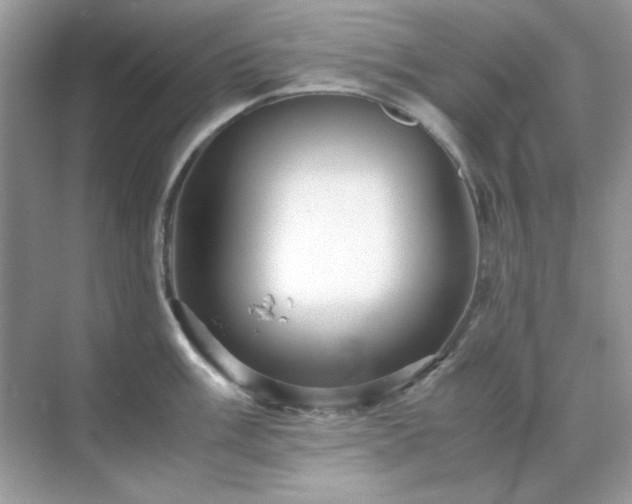 X0000071811003200607072112