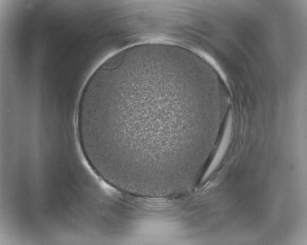 X0000071811007200607072112