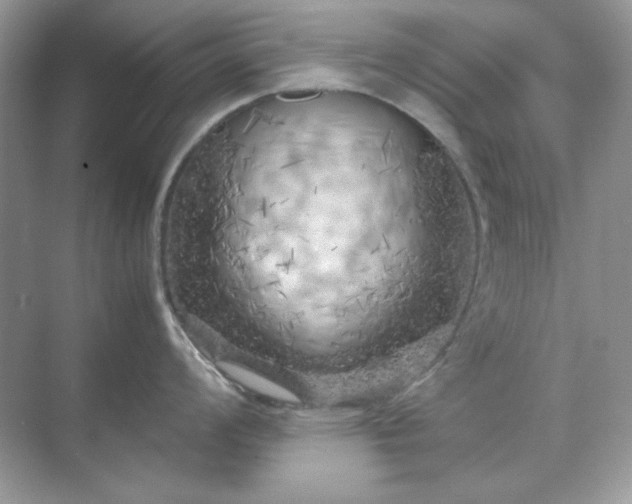 X0000071811008200607072112