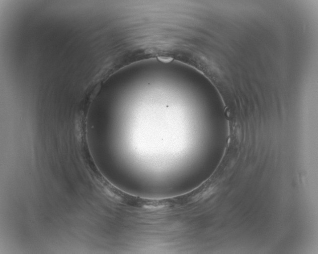 X0000071811012200607072112