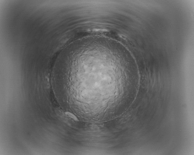 X0000071811013200607072112