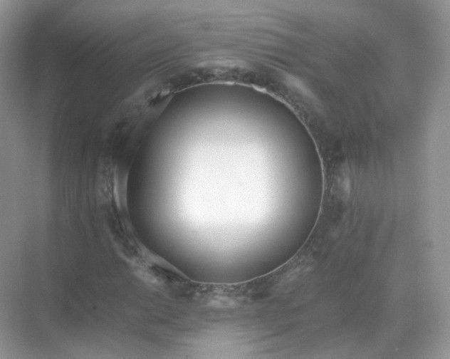 X0000071811014200607072112