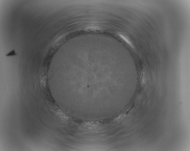 X0000071811015200607072112