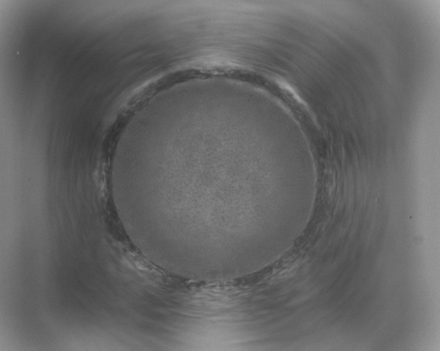 X0000071811016200607072112