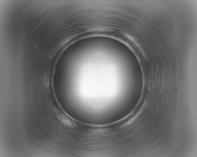 X0000071811017200607072112