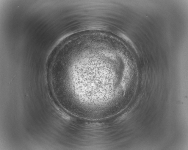 X0000071811019200607072112