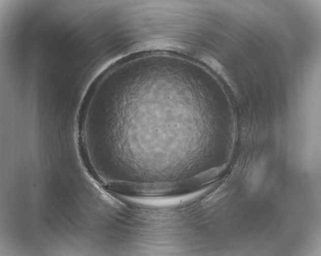 X0000071811024200607072112