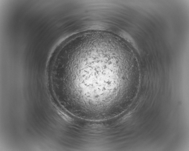 X0000071811027200607072112