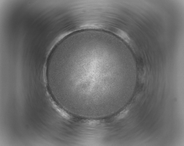 X0000071811030200607072112