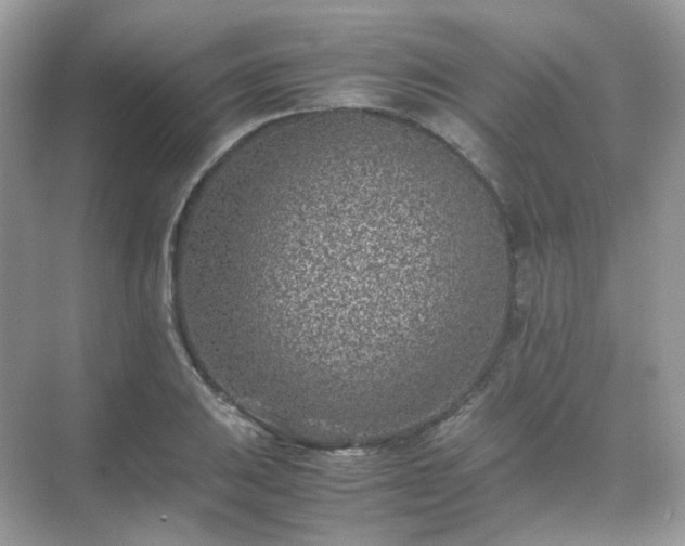 X0000071811031200607072112