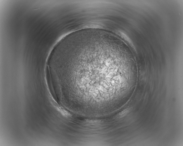 X0000071811035200607072112