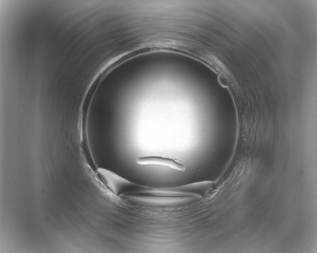 X0000071811036200607072112