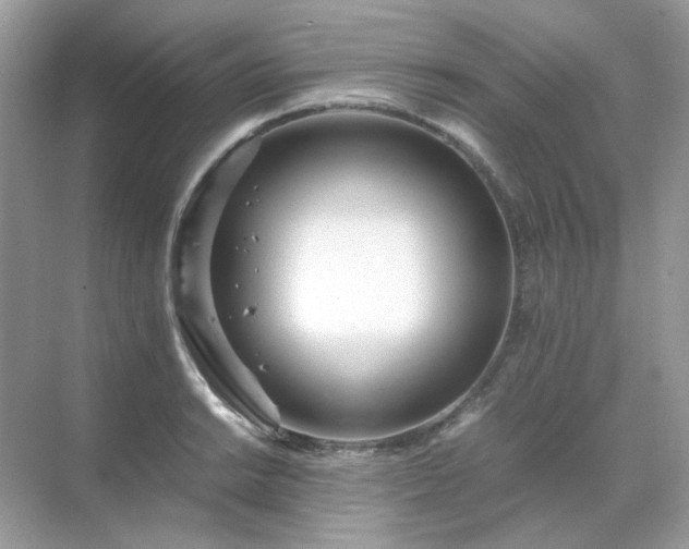 X0000071811038200607072112