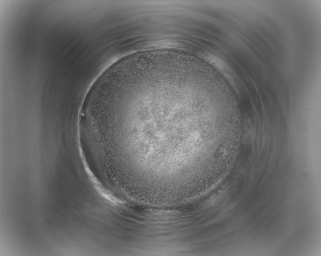 X0000071811039200607072112