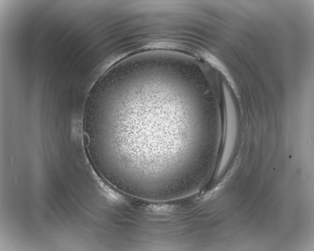 X0000071811041200607072112