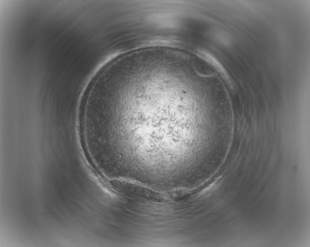 X0000071811043200607072112