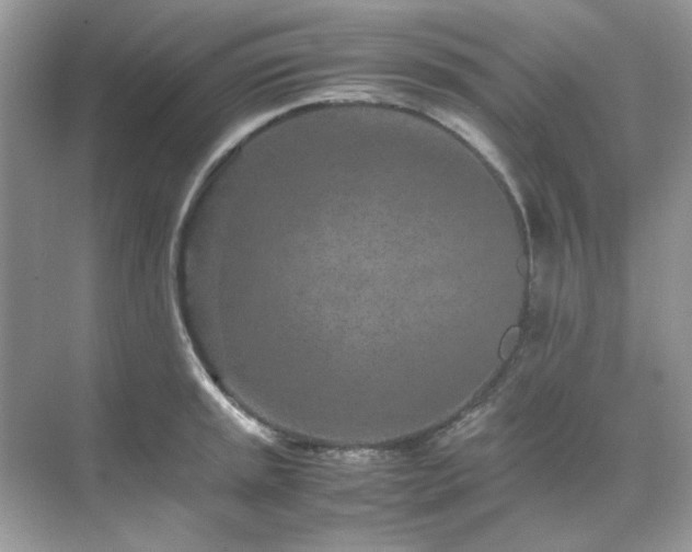 X0000071811045200607072112