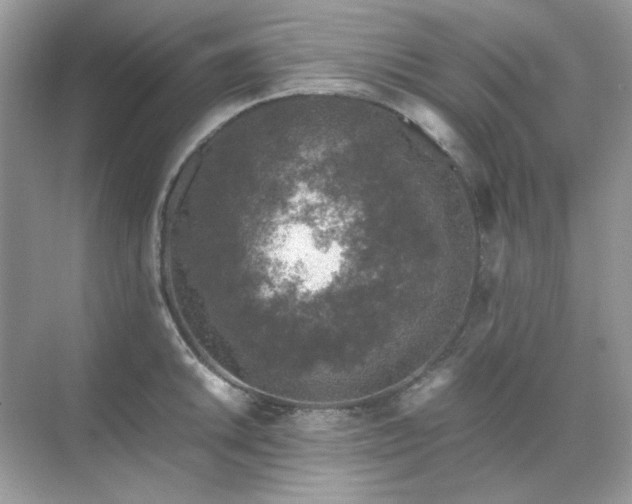 X0000071811046200607072112