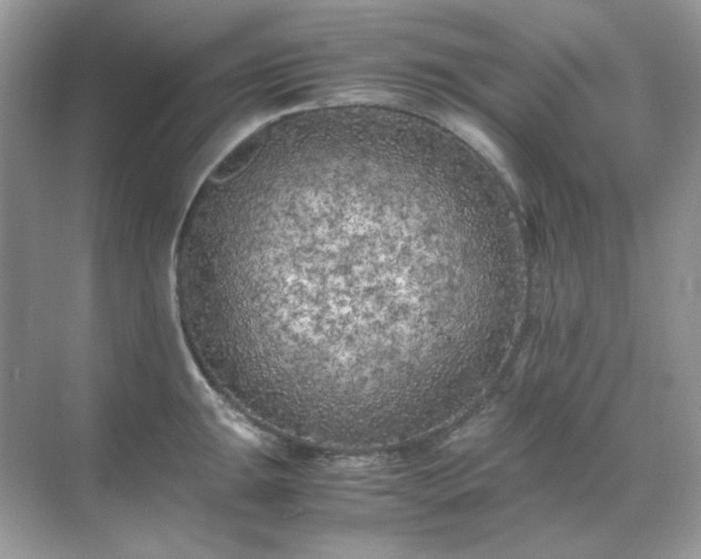 X0000071811047200607072112