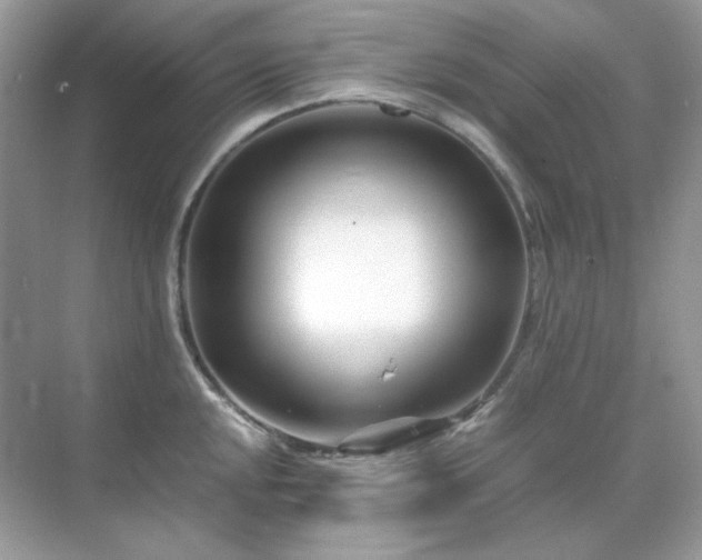 X0000071811048200607072112