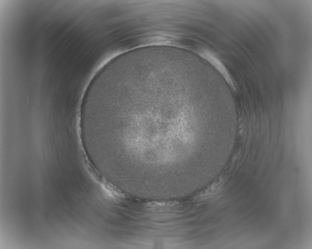 X0000071811051200607072112