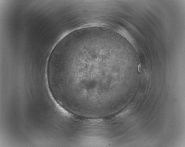 X0000071811055200607072112