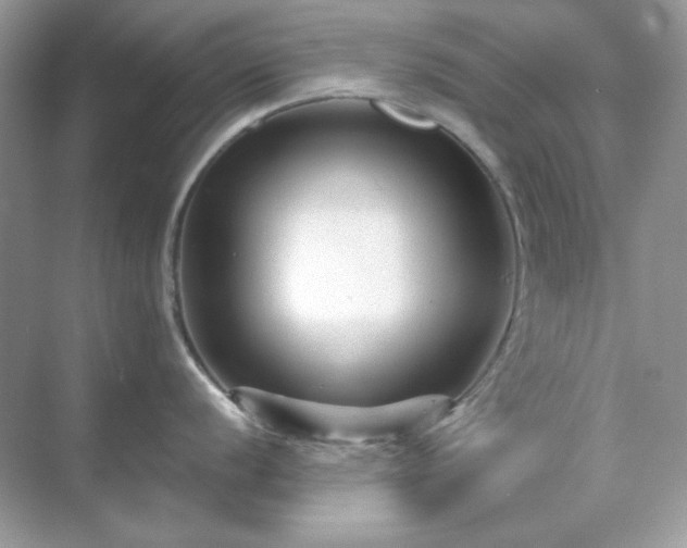 X0000071811056200607072112