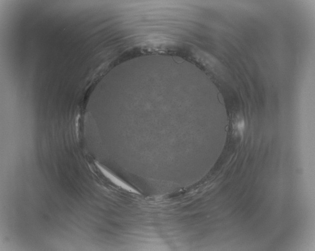 X0000071811060200607072111